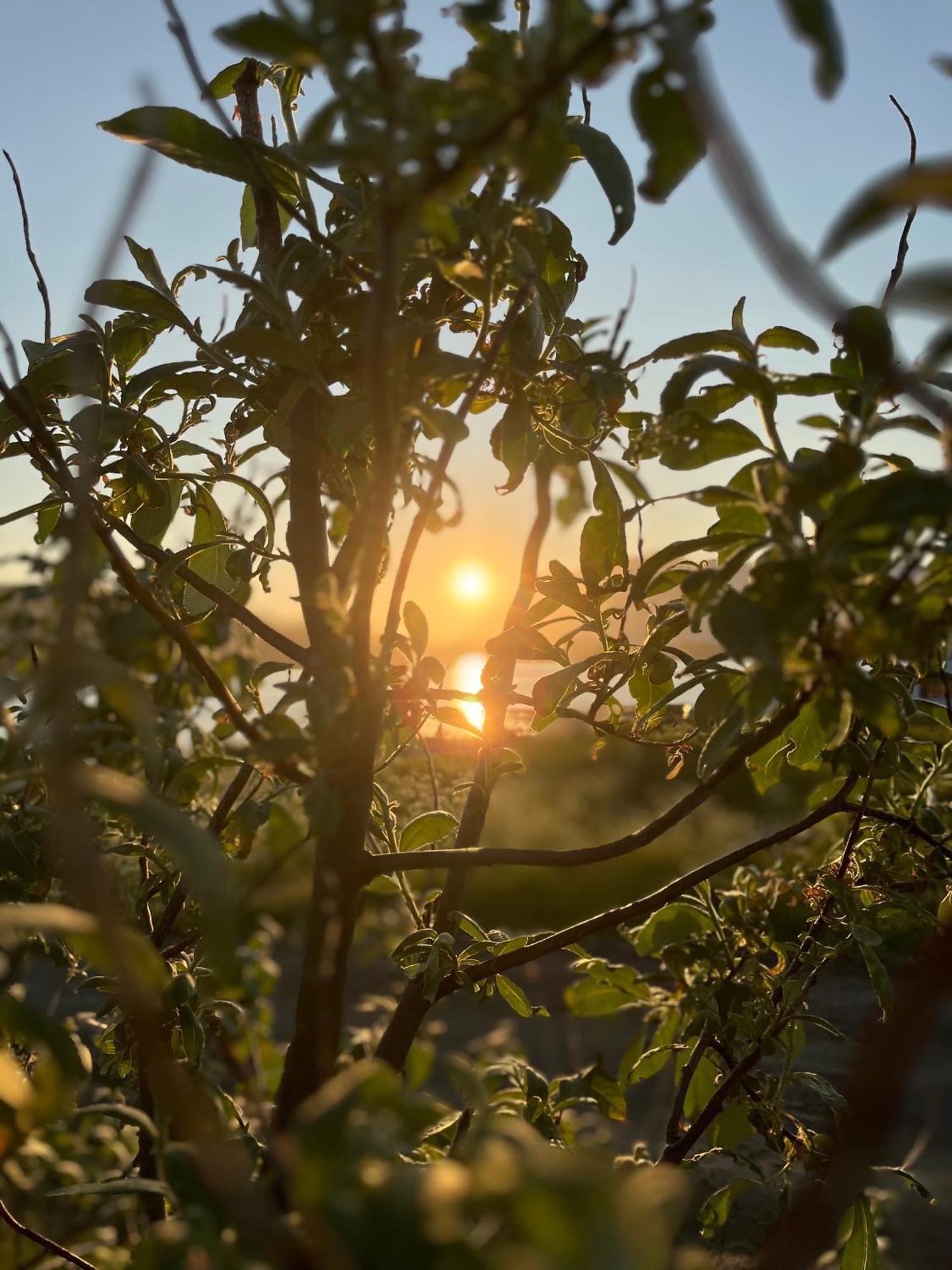 Oppmyre Camping Zewnętrze zdjęcie